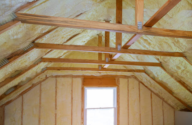 Best Cellulose Insulation  in Maineville, OH