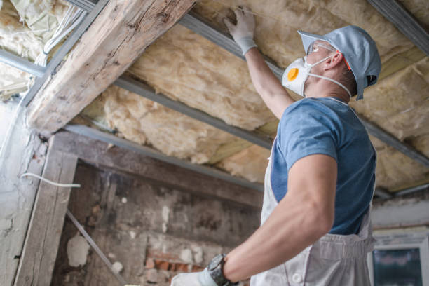 Best Insulation Replacement Services  in Maineville, OH