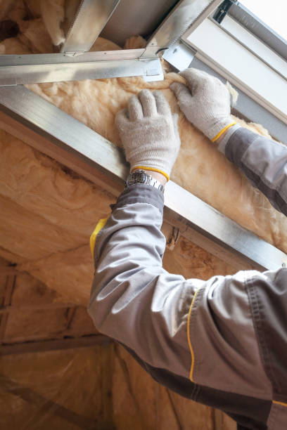 Best Attic Insulation Installation  in Maineville, OH