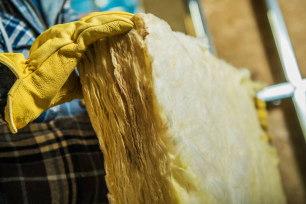 Best Best Insulation Companies  in Maineville, OH