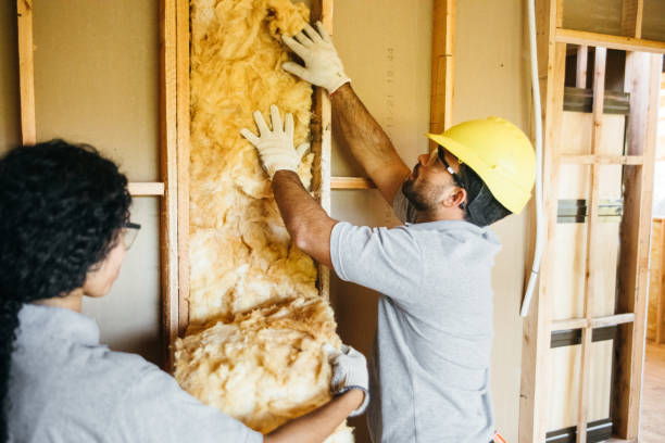 Best Insulation Replacement Services  in Maineville, OH