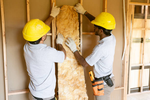 Professional Insulation Contractor in Maineville, OH