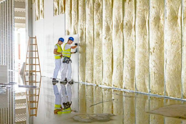 Best Professional Insulation Contractor  in Maineville, OH